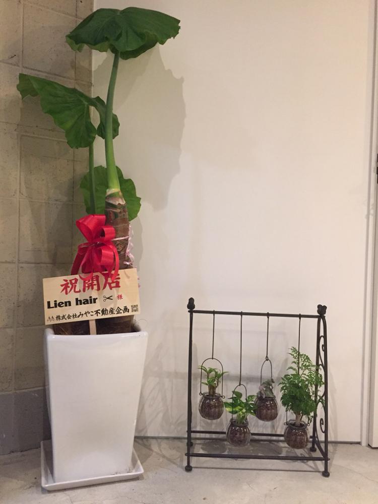 リアン ヘアー(Lien hair)