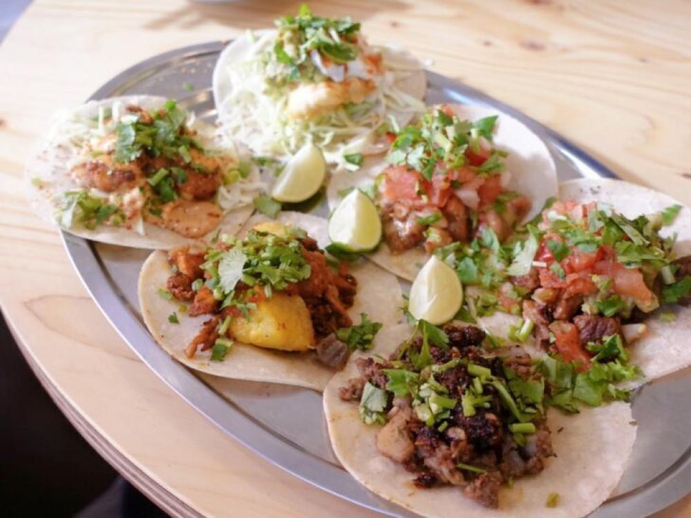 タコスと肴と酒 タコフィニ